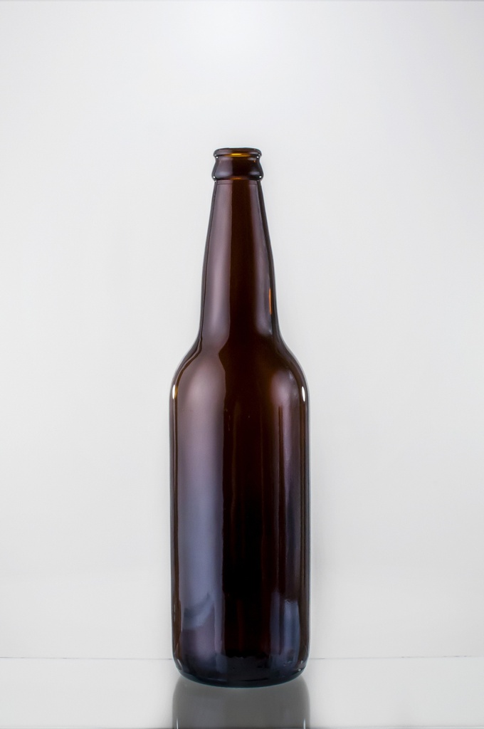 BOTELLA CERVEZA X 1000 CC